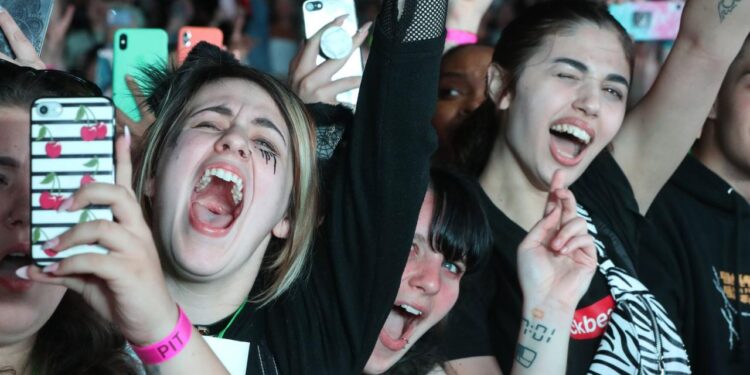 Music Superfan Economy Generates Major Revenue
